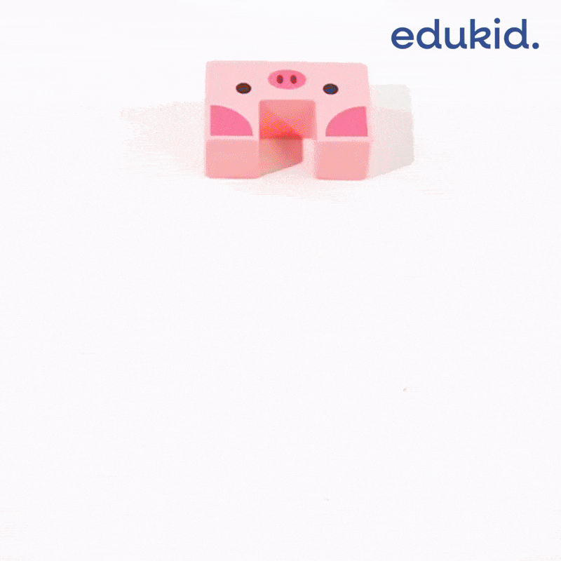 EduKid